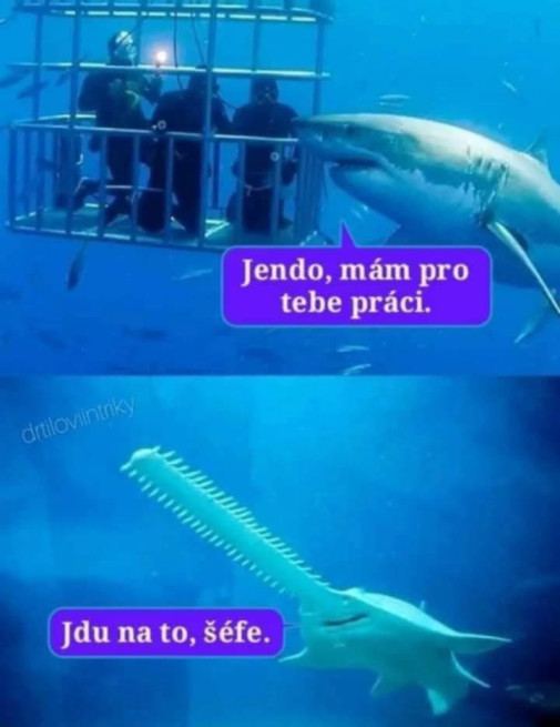 Jendo